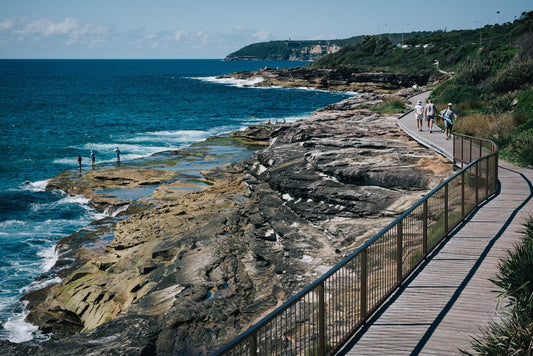 The Best Off-Leash Dog Walks on the Northern Beaches, Sydney