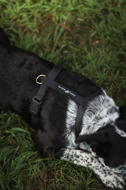 Black waterproof harness