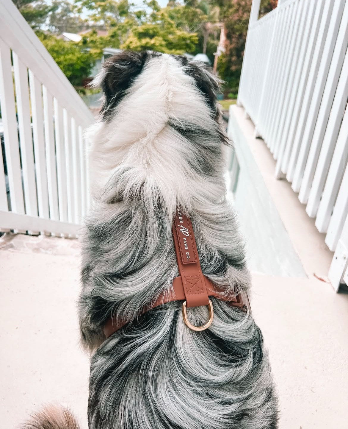 Brown Waterproof Harness