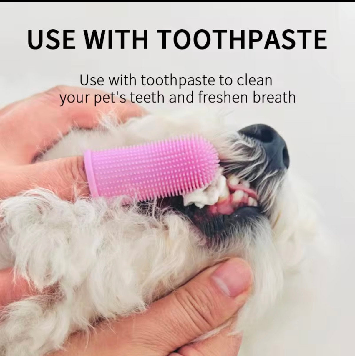 Dog Toothbrush