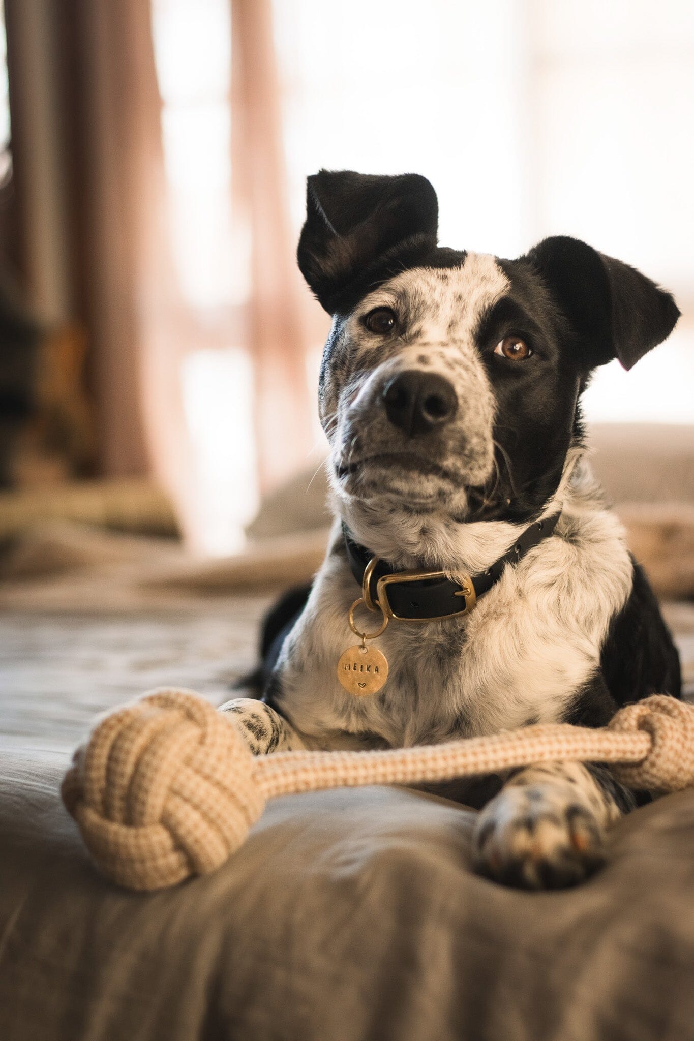 Eco-Friendly Hemp Rope Pull Toy Dog Toy Aussie Paws Co 