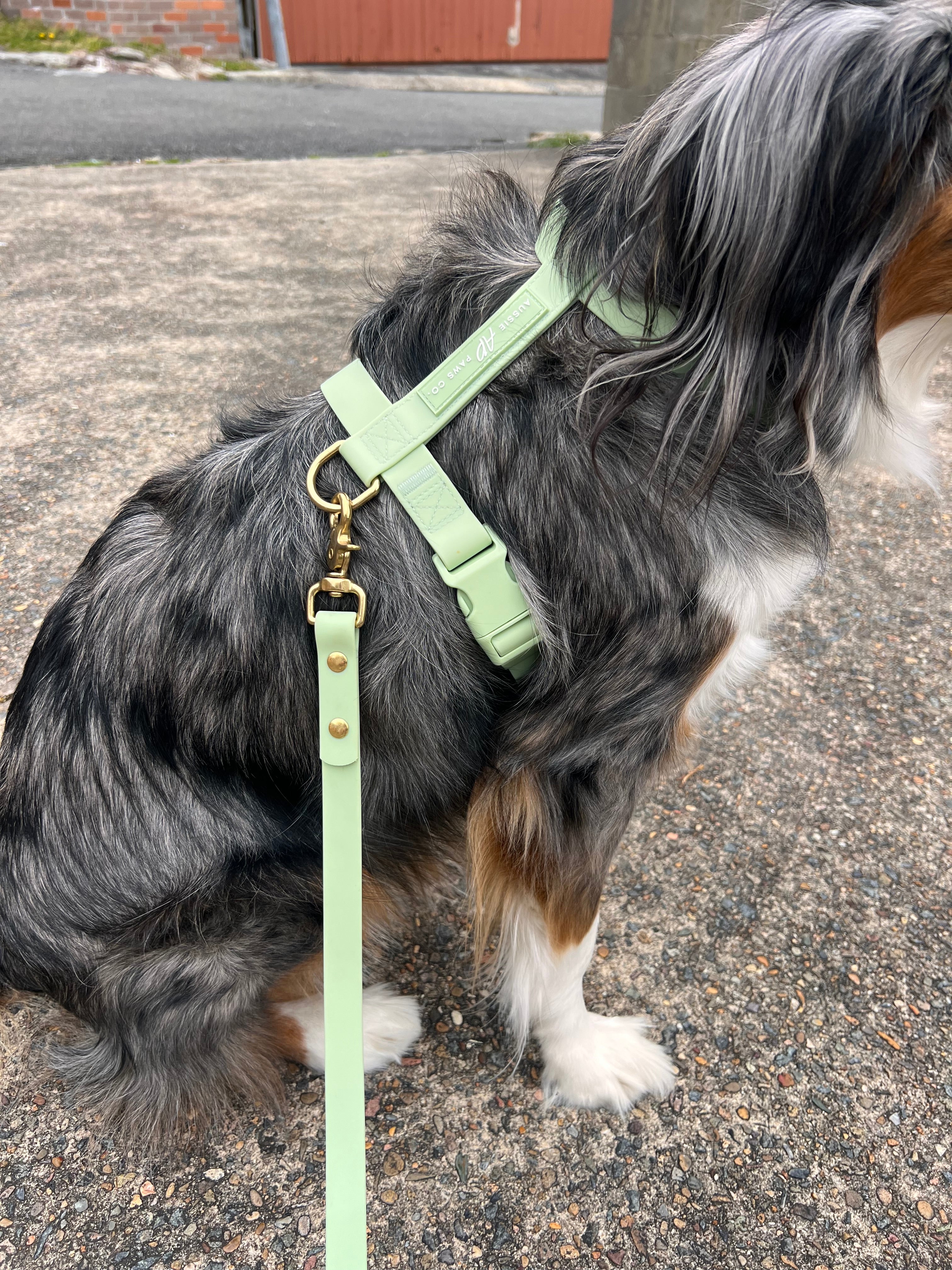 Waterproof Dog Harness Sage Green