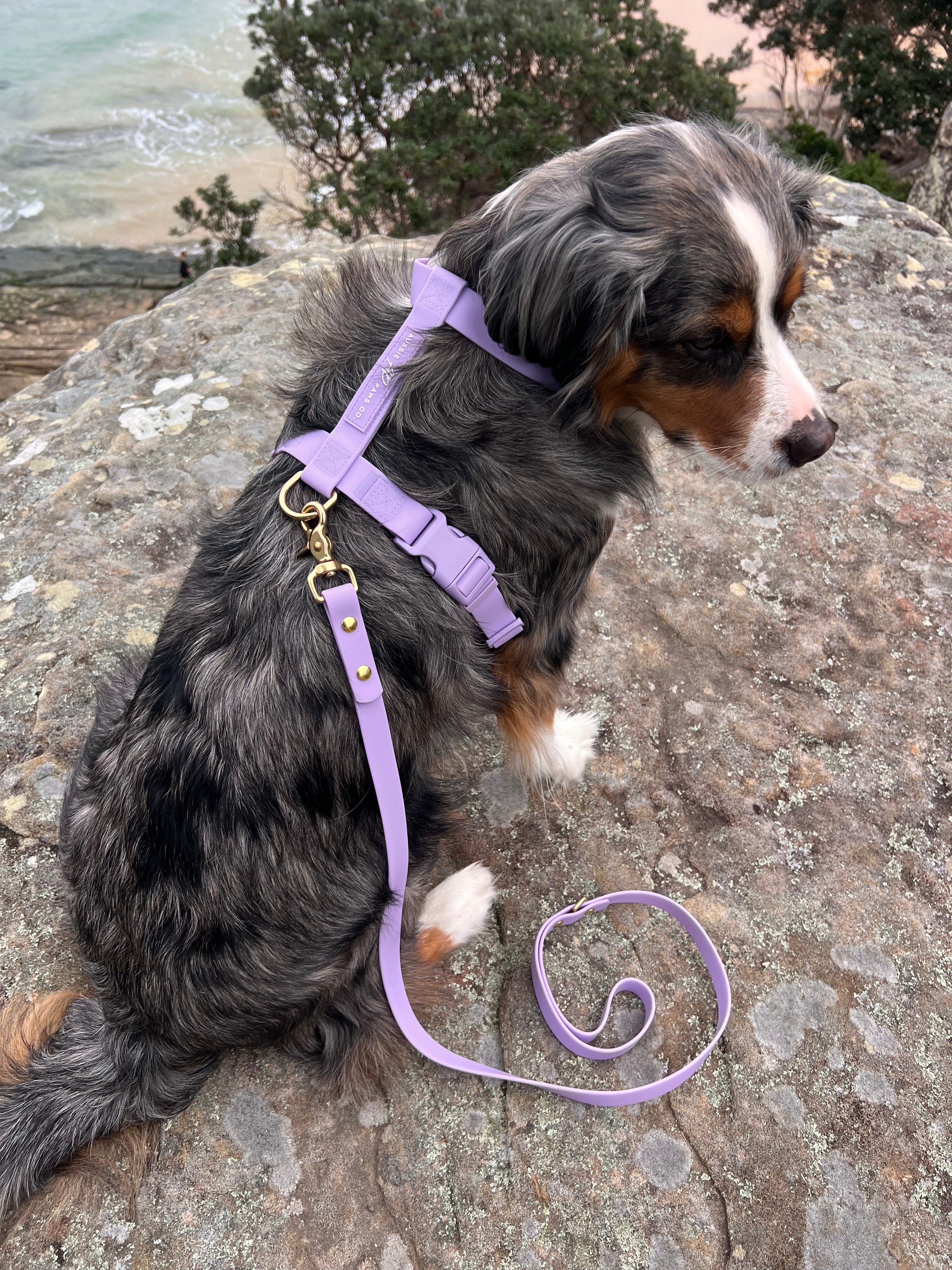 Waterproof Dog Harness Lilac