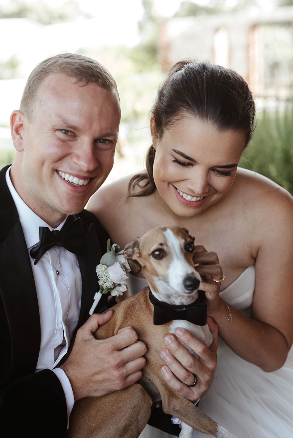 Black dog deals bow tie